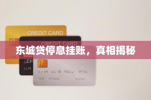 东城贷停息挂账，真相揭秘
