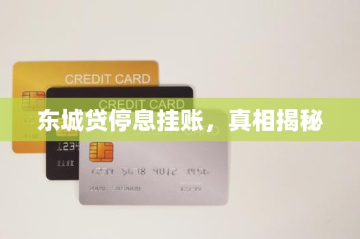 东城贷停息挂账，真相揭秘