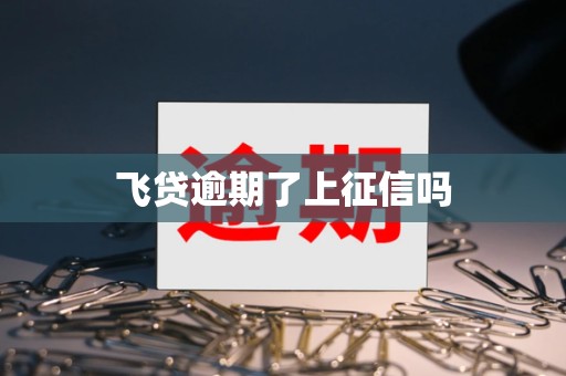 飞贷逾期了上征信吗