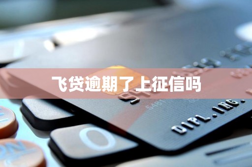 飞贷逾期了上征信吗