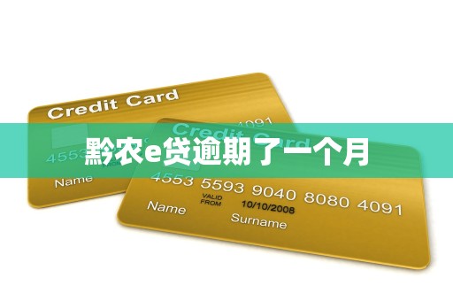 黔农e贷逾期了一个月