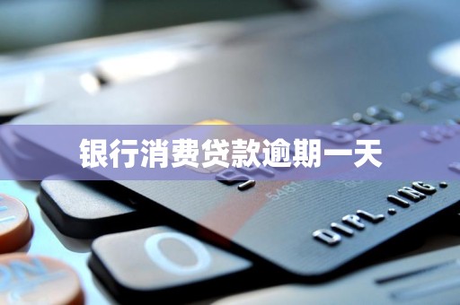 银行消费贷款逾期一天