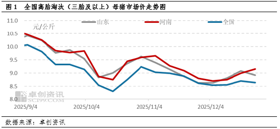 2025年四季度淘汰母猪：价格跟随肥猪震荡，抗跌属性成亮点__2025年四季度淘汰母猪：价格跟随肥猪震荡，抗跌属性成亮点