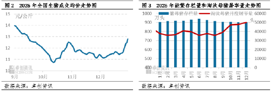2025年四季度淘汰母猪：价格跟随肥猪震荡，抗跌属性成亮点_2025年四季度淘汰母猪：价格跟随肥猪震荡，抗跌属性成亮点_